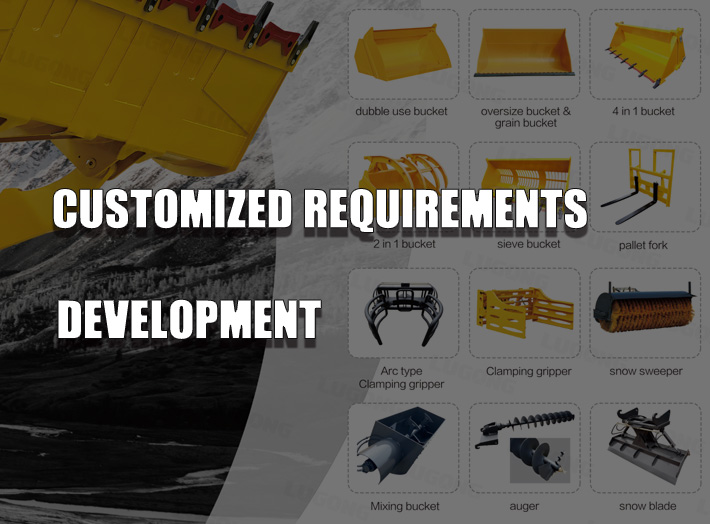 CUSTOMIZED REQUIREMENTS DEVELOPMENT